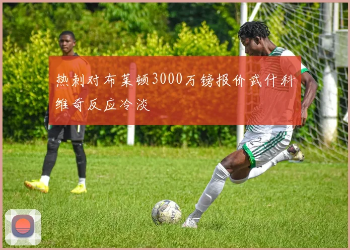 热刺对布莱顿3000万镑报价武什科维奇反应冷淡